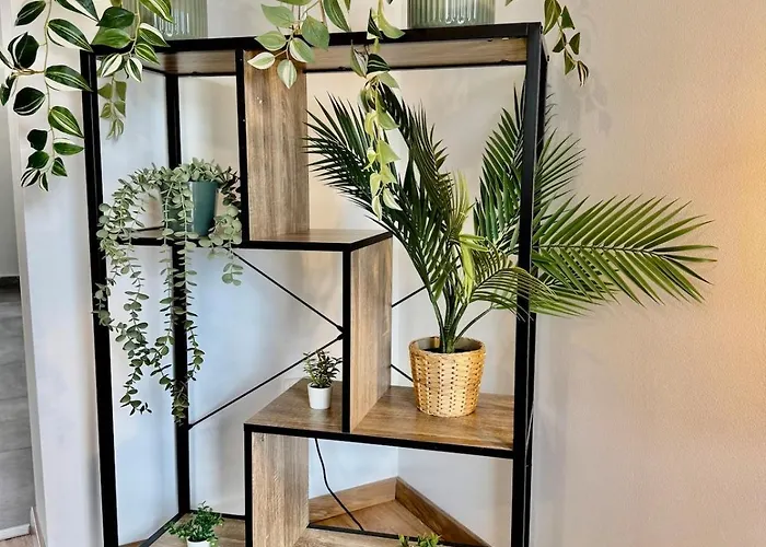 公寓 Fewo-palmtrees 3 - Grosse Und Moderne 2 Zimmerwohnung Mit Sued-west Balkon In Gladbeck-mitte Naehe Movie Park Und Arena Aufschalke 格拉德贝克